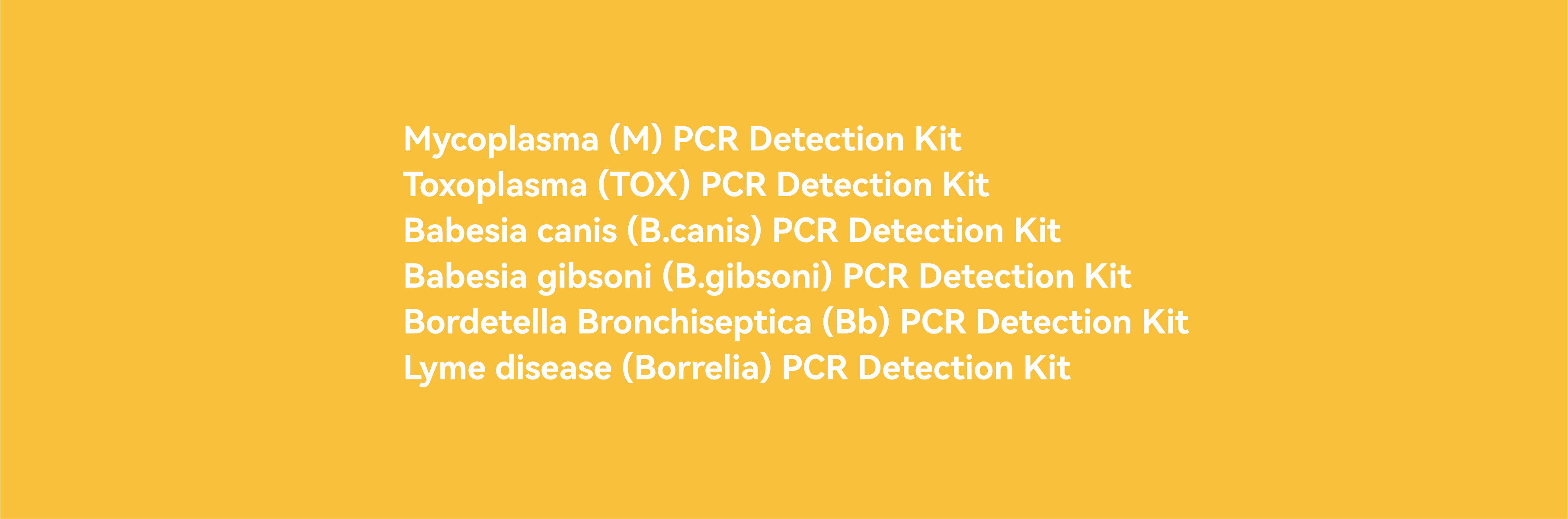 Point One Test Kit Fully Automated Chemistry Blood Analyzer & Blood Chemistry Panel | MNCHIP